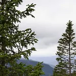 New With Great View * 哈山