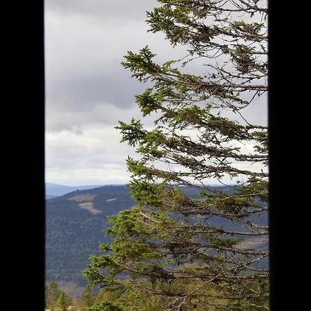 New With Great View