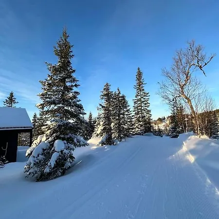 New With Great View Feriehus Hafjell