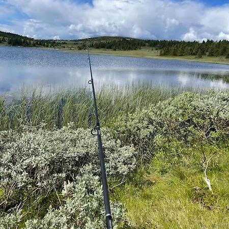 New With Great View *