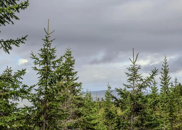 Ferienhaus New With Great View *