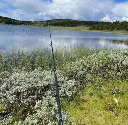 New With Great View *